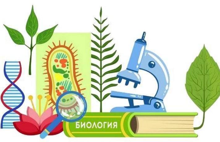 Приглашаем принять участие в Областной естественнонаучной олимпиаде Приглашаем принять участие в Областной естественнонаучной олимпиаде