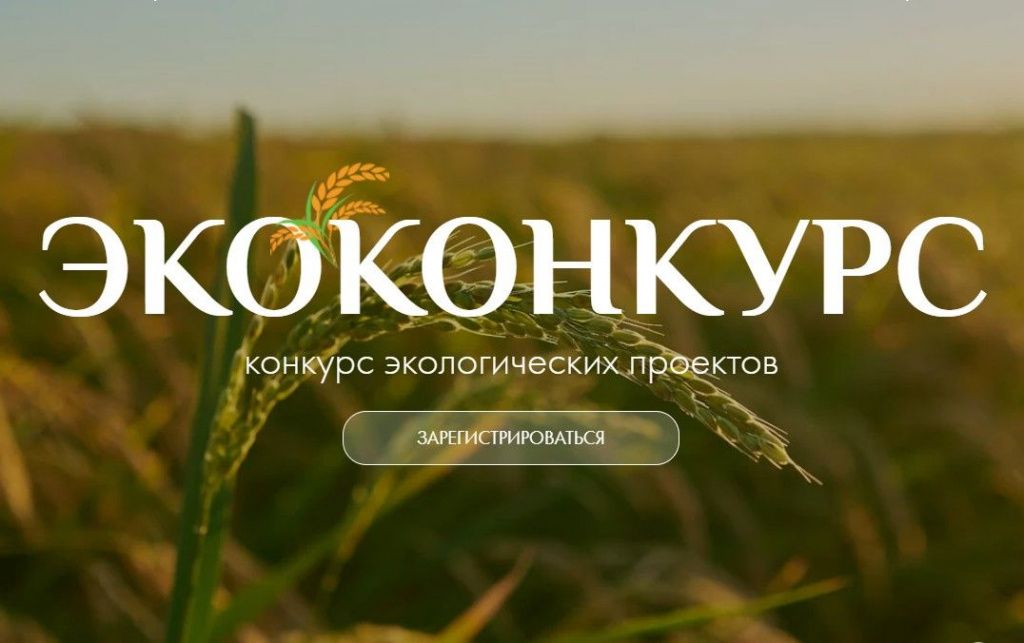 Всероссийский «ЭКОконкурс» объединит молодых экоактивистов страны