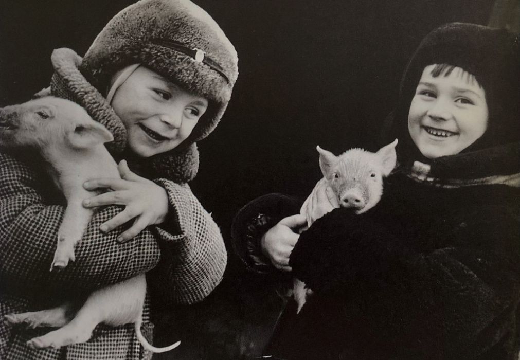 xeI7lWnw5lQ.jpg xeI7lWnw5lQ.jpg